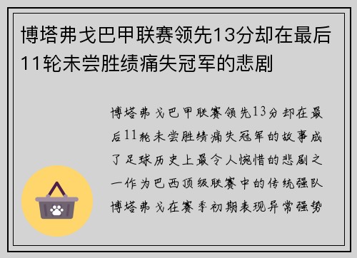 博塔弗戈巴甲联赛领先13分却在最后11轮未尝胜绩痛失冠军的悲剧